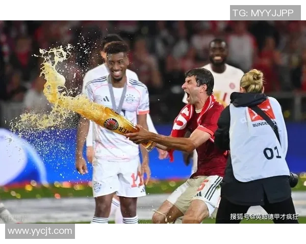 意甲激战:拜仁与里昂战成平局全场沸腾瞬间引发热议